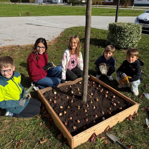 Blumenzwiebeln setzen- 4. Klasse im Herbst 2026