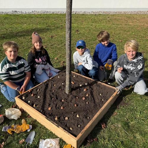 Blumenzwiebeln setzen- 4. Klasse im Herbst 2026