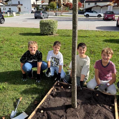 Blumenzwiebeln setzen- 4. Klasse im Herbst 2026