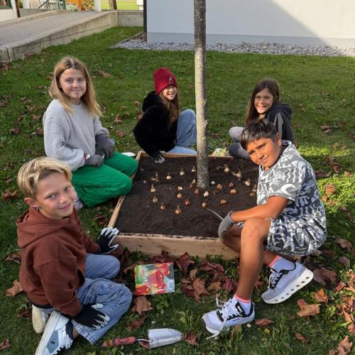 Blumenzwiebeln setzen- 4. Klasse im Herbst 2026