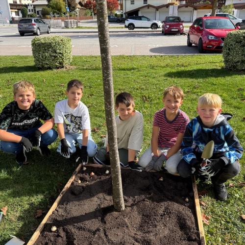 Blumenzwiebeln setzen- 4. Klasse im Herbst 2026