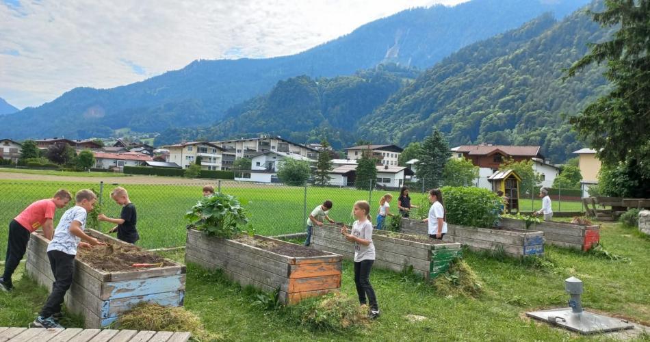 Freifach Gartenbau- 2.Klassen 2025