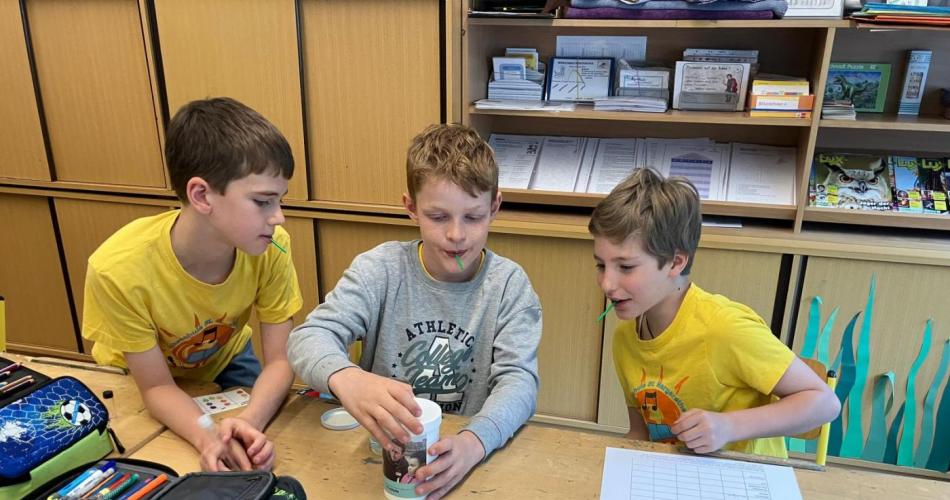 Wasserprojekt- 4. Klassen 2025