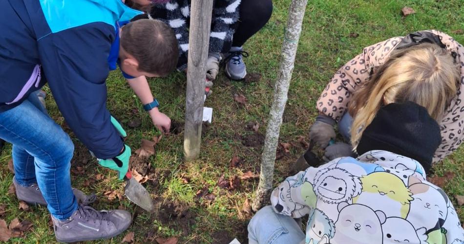 Gartenbau im Herbst 2025